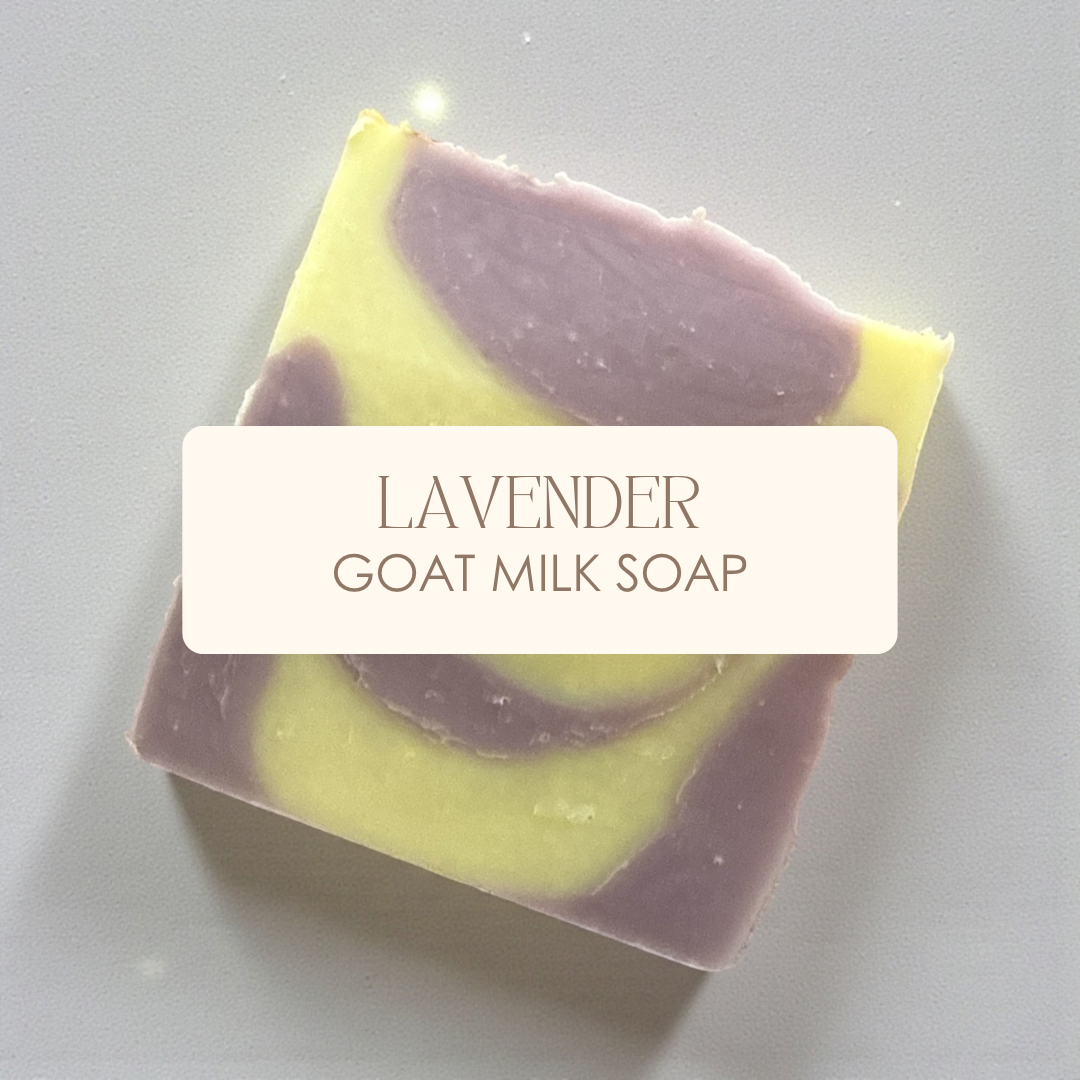 Lavender Goat Milk Soap